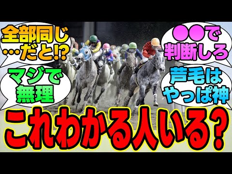 このレース凄いから見て！←初心者ワイ「誰がどれでどこ！？」に対する競馬民の反応集