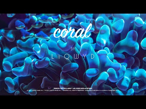 LiQWYD - Coral [Official]