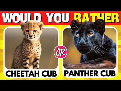 Would You Rather? Puppies Edition 🦁🐨🐶 | Random Quizzes