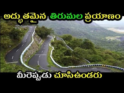 tirumala tirupati ghat road TTD #TTD #tirumala #thirupathi #ghatroad