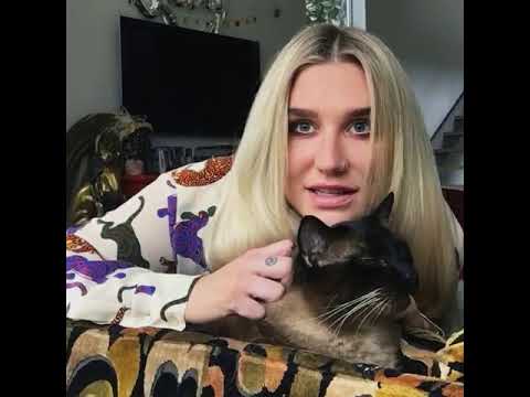 Kesha's Full Dream