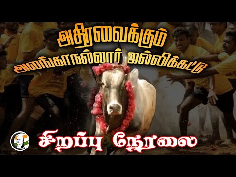 🔴LIVE: Alanganallur Jallikattu Non-Stop Live | Chanakyaa | அலங்காநல்லூர் ஜல்லிக்கட்டு | Pongal 2024