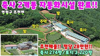 600. 부부가 운영하기 딱좋은 최신시설 축사매매 신축급 전원주택까지 영월군 주천면 주택매매 단독주택매매 제천부동산 제천토지매매 제천전원주택매매 영월전원주택 시골집급매 촌집매매