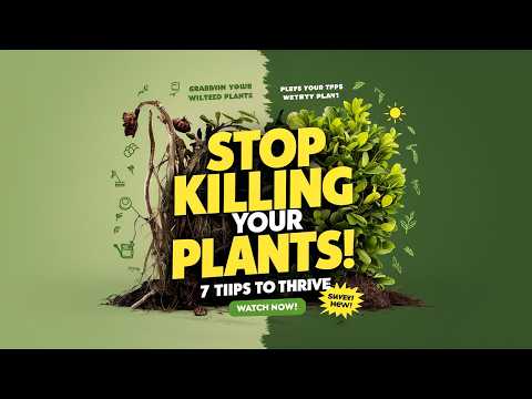 Stop Killing Your Plants! 7 Tips to Instantly Save Them!