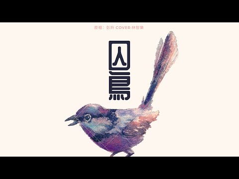 囚鳥 cover by 林智樂