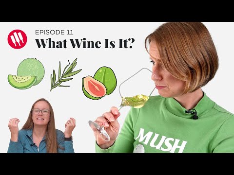 Learn by Tasting (ep. 11)