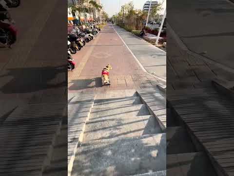 Skateboard corgi roaming on the cold street.   #corgi #corgisunleashed #smartdogs