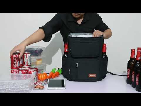 DENUONISS Large Capacity Picnic Cooler Bag | $100k Bonuses in Description