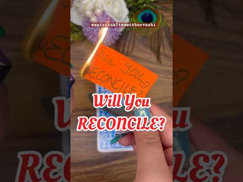 Will you RECONCILE with your SP?❤️✨ #tarotreading #ytshorts #shorts #spiritualteawithurvashi