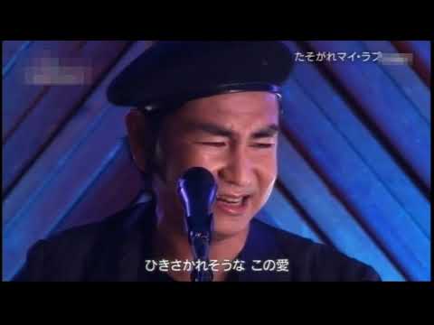 たそがれマイ・ラブ　田島貴男　Takao Tajima