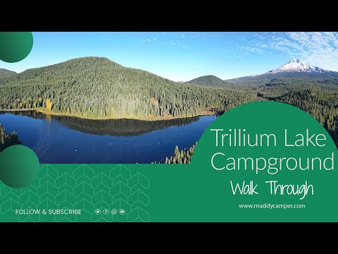 Trillium Lake Campground Walk-Through Tour - Mt. Hood National Forest, Oregon