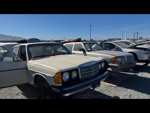 Mercedes-Benz W126 560SEL & W123 at Junkyard in Salinas California