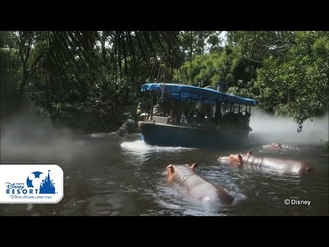 【公式】ジャングルクルーズ / Jungle Cruise | 東京ディズニーランド/Tokyo Disneyland