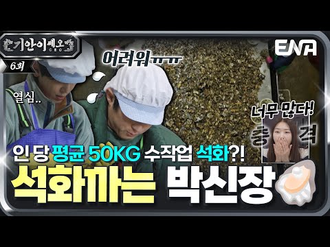 100% 수작업! 💥 인당 50kg를 까야 ⛏ 집에 갈 수 있는 30톤 석화까기 박신장 🦪 #기안이쎄오 EP.06