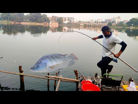 ২৫ হাজার টাকা টিকিটে বিশাল মাছ শিকার করলো! Fish Hunting! king of fishing hunting #fish #fishing