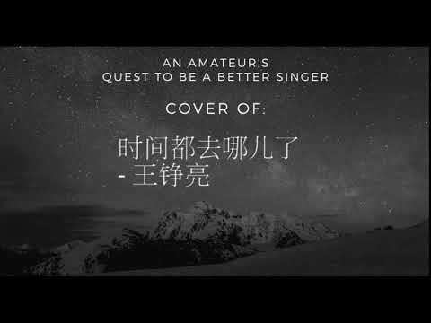 Quest to be a Better Singer: 时间都去哪儿了 - 王铮亮 Cover