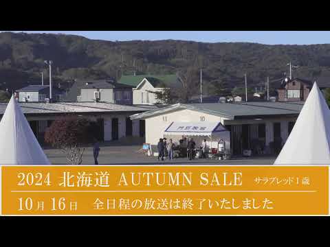 2024 北海道オータムセール2日目　生中継