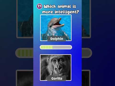 "How Good Is Your Knowledge of Animals? 🐾 Test Yourself Now!"|The Quiz Show