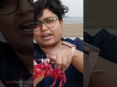 #shorts 🦀 কথা হলো চোখে চোখ রেখে!!! 😆😆😆 Digha Talsari Beach/ Travel with Sulagna #redcrab