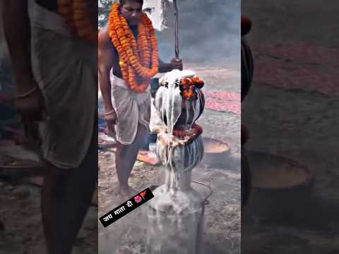 जय माता दी 🌺 Virat Bhagat karaha puja 🙏🏻 || baba kashidas karaha puja banaras 🚩 #shorts