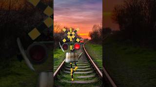 #Railroad Crossings Accident from #Fumikiri Train 🚂🚦 #shorts #railcrossing 🚦#youtubeshorts