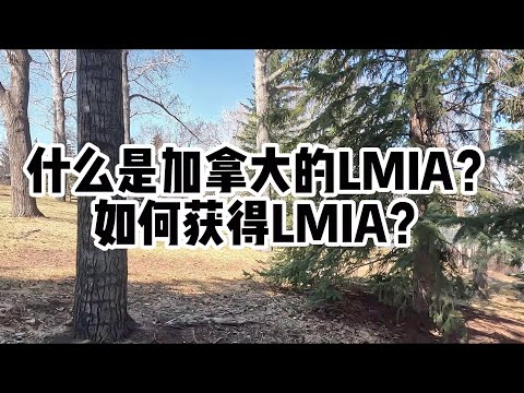 什么是加拿大的LMIA？如何获得LMIA