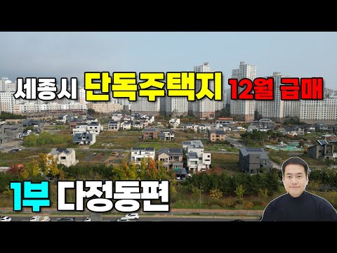 세종시 단독주택지 매매 12월 급매물 총정리, 시세현황, 현재분위기 -1부 다정동편- 4억부터~