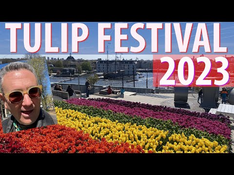 Tulip Festival Amsterdam 2023