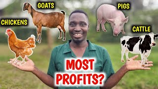 Chickens vs Pigs vs Goats vs Cattle | Which Is More PROFITABLE?