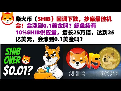 柴犬币（SHIB）回调下跌，抄底最佳机会！会涨到0.1美金吗？鲸鱼持有10%SHIB供应量，增长25万倍，达到25亿美元，最初投资仅1万美元，会涨到0.1美金吗？#shib币#柴犬币#屎币行情分析