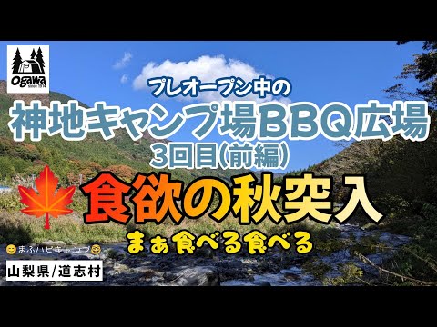 【山梨県／道志村】（３回目/前編）神地キャンプ場BBQ広場 冷凍チキンライスを使ったずぼらオムレツ/唐揚げ/アップルパイ #まふハピキャンプ