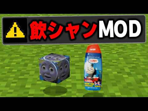 マイクラに存在する"意味不明なMOD"を実際にプレイしてみたら意味がわからなすぎたｗｗｗ【まいくら・マインクラフト】