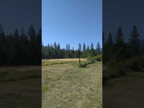 Doing A Little Run-Around On The Property In Williams, Oregon