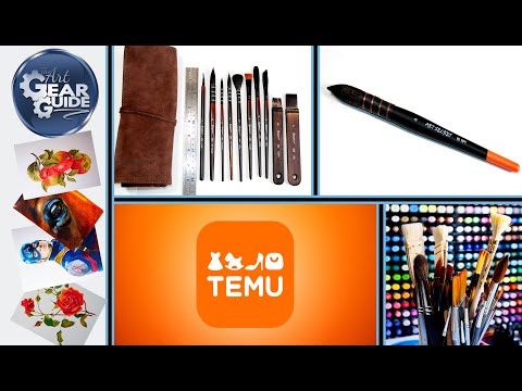 Temu Art Supplies Rubbish or Bargain | Temu Watercolor Brushes Review