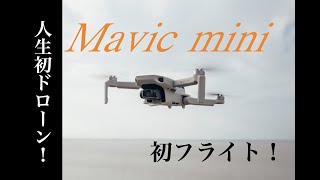 【DJI Mavic mini】ドローン初心者でも飛ばせるのか？【5つのメリット・デメリット】