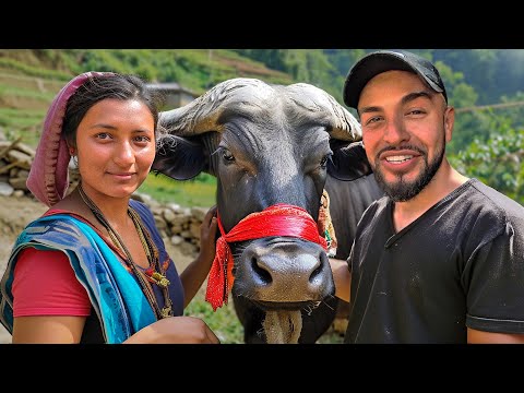 I Gifted $800 Buffalo to Nepal's Kindest Family🇳🇵*emotional*