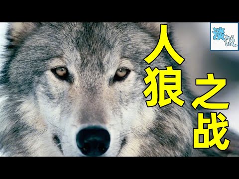 人狼大战：野狼咬死牧民牲畜，牧民打死大狼活捉狼崽 | 淡饭电影