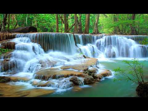 Soothing Shoreline - Open Heart Music - Helios 4K