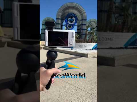 Sea World Vlog #seaworld #themepark #mardigras