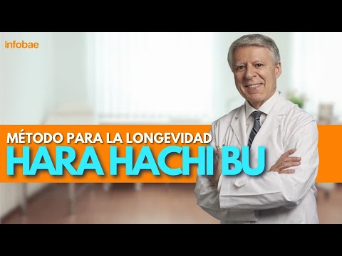 ¿QUÉ ES EL HARA HACHI BU?