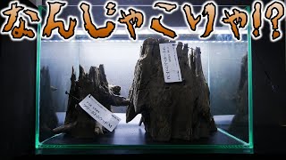 【流木】下が平らで安定感がある切り株みたいな形。中に空洞があるから魚の隠れにもなるし、置くだけで水景が完成する使いやすさ！カミハタ タイ産天然流木ツリーボトムウッドM/XL【ふぶきテトラ】