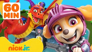 PAW Patrol: Drachenabenteuer & Rettungen! 🐉 1 Stunde | Nick Jr. | Nick Jr. Deutschland