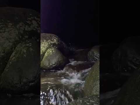 The beautiful flow of river water at night #river #riversounds #riversoundsrelaxing #soothingsound