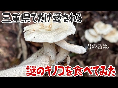 三重県でだけ愛される謎のキノコを食べてみた