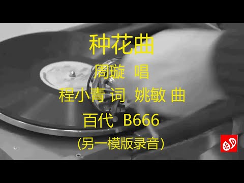 种花曲   -   周璇      (另一模版录音)