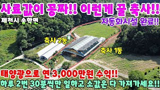 624. 사료값이 꽁짜!! 하루 2시간 일하는 돈버는 축사매매!! 염소농장 주택매매 단독주택매매 제천부동산 제천토지매매 제천전원주택매매 시골집급매 촌집매매