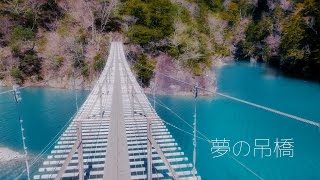 【恋のパワースポット!?】夢のつり橋❤️