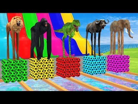 Long Slide Game With Elephant Cow Lion Gorilla - 3d Animal Game - Funny 3d Animals Mystery Pool