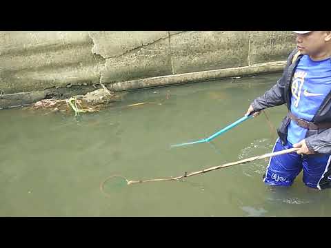 Ito ang Kadugtong ng panguryente namin,  | Electric Fishing | Kanorio M. V