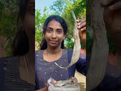 பழைய சோறுக்கு super ah irukkum வாலகருவாடு தொக்கு || Dry Fish Gravy #food #shorts